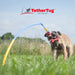 Medium Tether Tug - Jeffers - Dog Supplies > Dog Toys