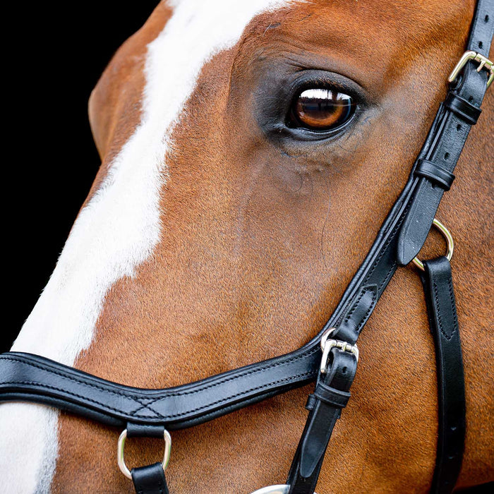 Micklem 2.0 Competition Bridle, Black - Jeffers - Horse Supplies > Horse Tack > Bridles & Headstalls