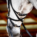 Micklem 2.0 Multi Bridle, Black - Jeffers - Horse Supplies > Horse Tack > Bridles & Headstalls