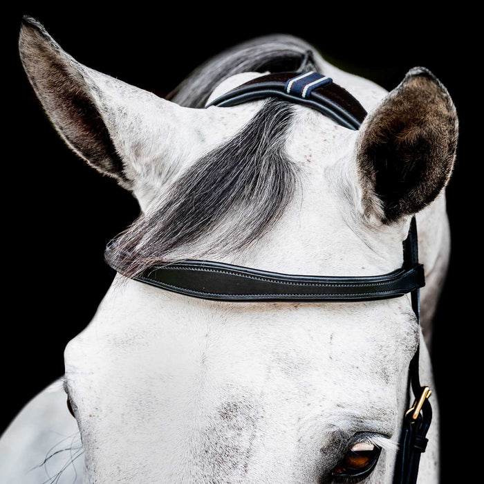 Micklem 2.0 Multi Bridle, Black - Jeffers - Horse Supplies > Horse Tack > Bridles & Headstalls