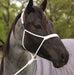 Mule Tape Halter, White - Jeffers - Horse Supplies > Horse Tack > Horse Halters