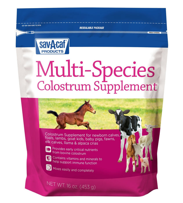 Multi - Species Colostrum Supplement, 16 oz - Jeffers - Cattle Supplies > Cattle Supplies