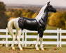 National Velvet Horse & Book Set - Jeffers - Home Goods & Gifts > Toys