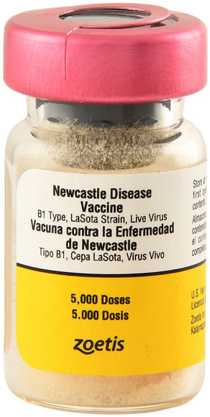 Newcastle Disease Vaccine, 5000 dose - Jeffers - Animal Health & Wellness > Vaccines