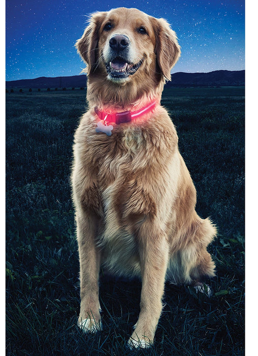 NiteDawg LED Dog Collar - Jeffers - Dog Supplies > Dog Apparel > Dog Collars, Harnesses, & Leashes