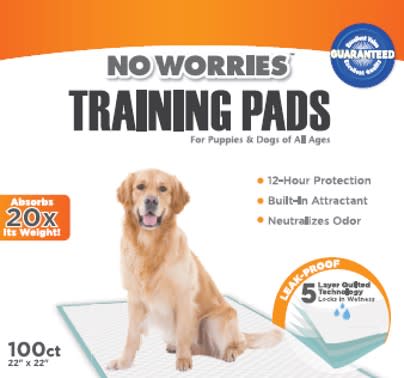 No Worries 12 - Hour Dog Training Pads, 100 ct, 22' x 22' - Jeffers - Animal & Pet Supplies > Pet Training Aids