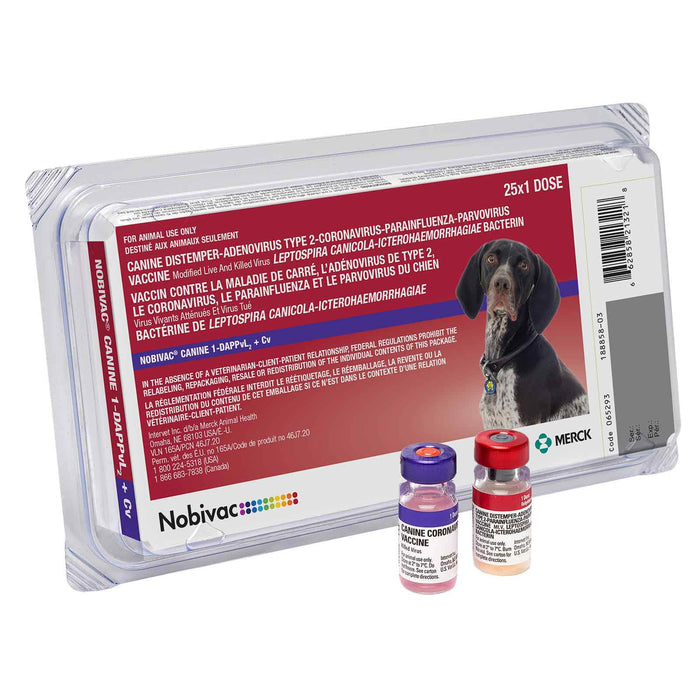 Nobivac Canine 1 - DAPPvL2+Cv (8 - way) - Jeffers - Animal Health & Wellness > Vaccines