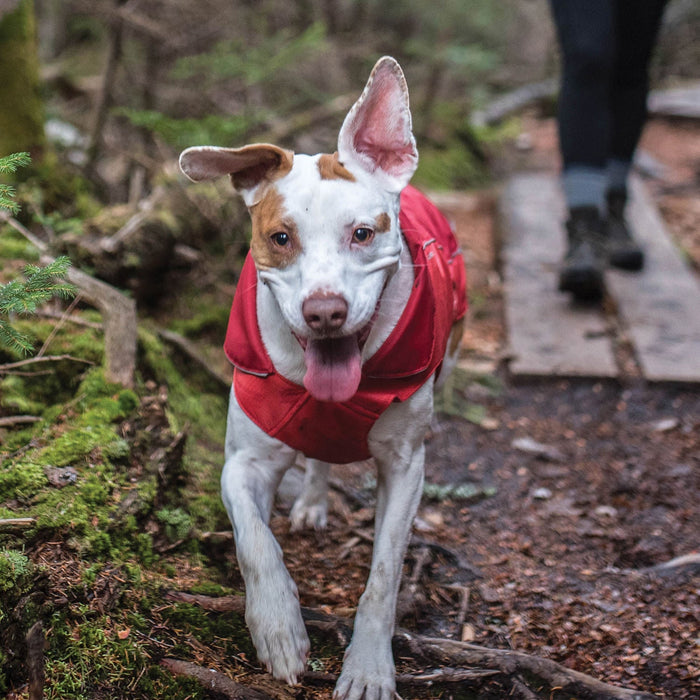 North Country Coat - Jeffers - Dog Supplies > Dog Apparel