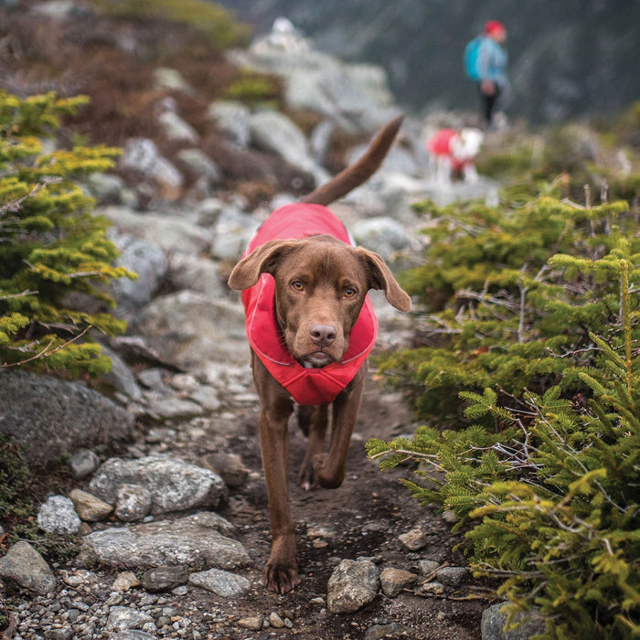 North Country Coat - Jeffers - Dog Supplies > Dog Apparel