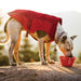 North Country Coat - Jeffers - Dog Supplies > Dog Apparel