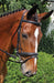 Nunn Finer 'Brentina' Dressage Bridle, Black - Jeffers - Horse Supplies > Horse Tack > Bridles & Headstalls