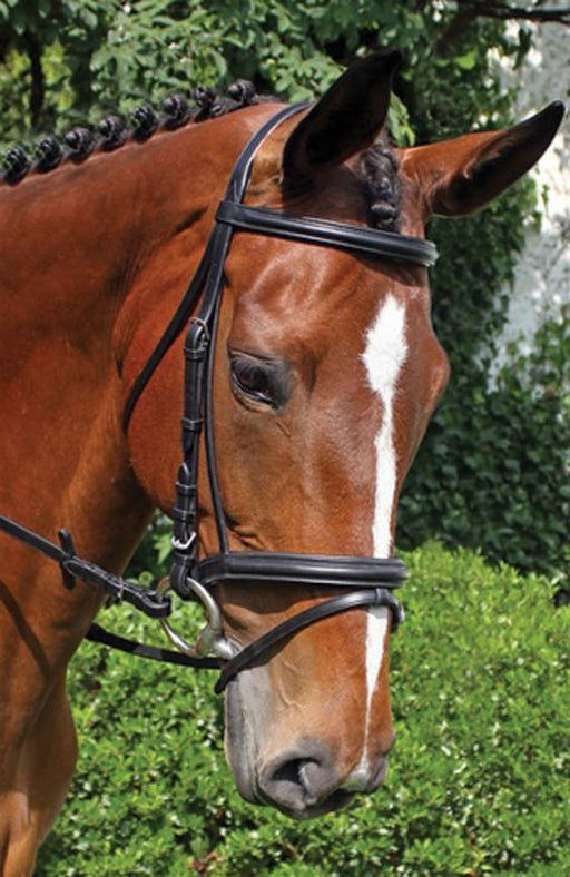 Nunn Finer 'Brentina' Dressage Bridle, Black - Jeffers - Horse Supplies > Horse Tack > Bridles & Headstalls