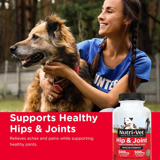 Nutri - Vet Hip & Joint Regular Strength Chewables for Dogs - Jeffers - Animal Health & Wellness > Vitamins & Supplements