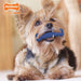 Nylabone Dental Chew Bone - Jeffers - Dog Supplies > Dog Toys