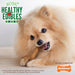 Nylabone Healthy Edibles, Petite (3.5'), 8 pack - Jeffers - Dog Supplies > Dog Treats > Chews