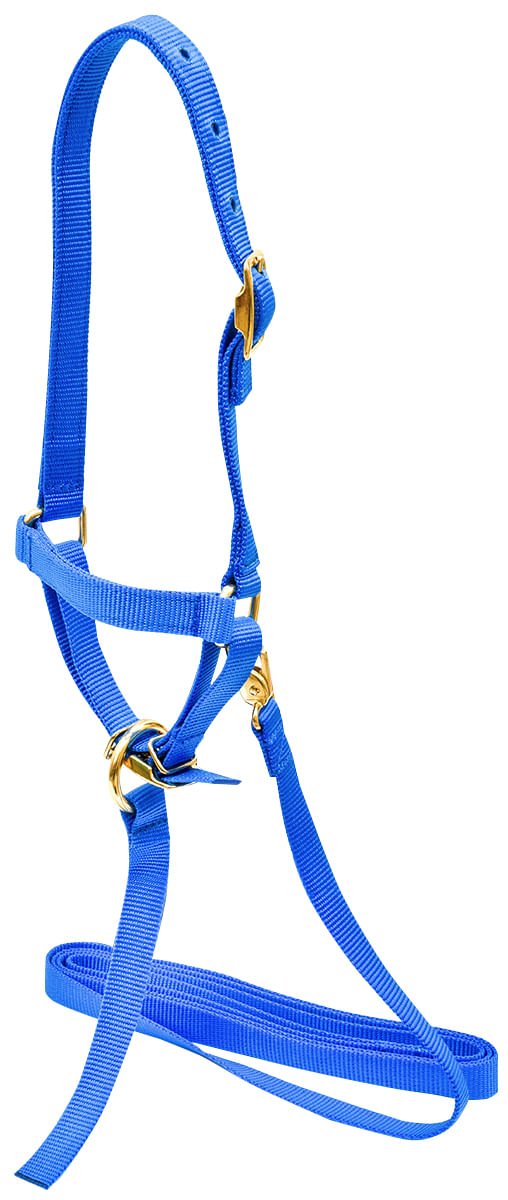 Nylon Sheep Halter, 3/4' - Jeffers - Sheep Supplies > Sheep Supplies