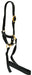 Nylon Sheep Halter, 3/4' - Jeffers - Sheep Supplies > Sheep Supplies