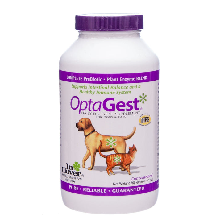 OptaGest Digestive Supplement - Jeffers - Animal Health & Wellness > Vitamins & Supplements