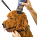 Oster Cordless Fast Feed Clipper Blue - Jeffers - Animal & Pet Supplies > Pet Grooming > Pet Hair Clippers & Trimmers