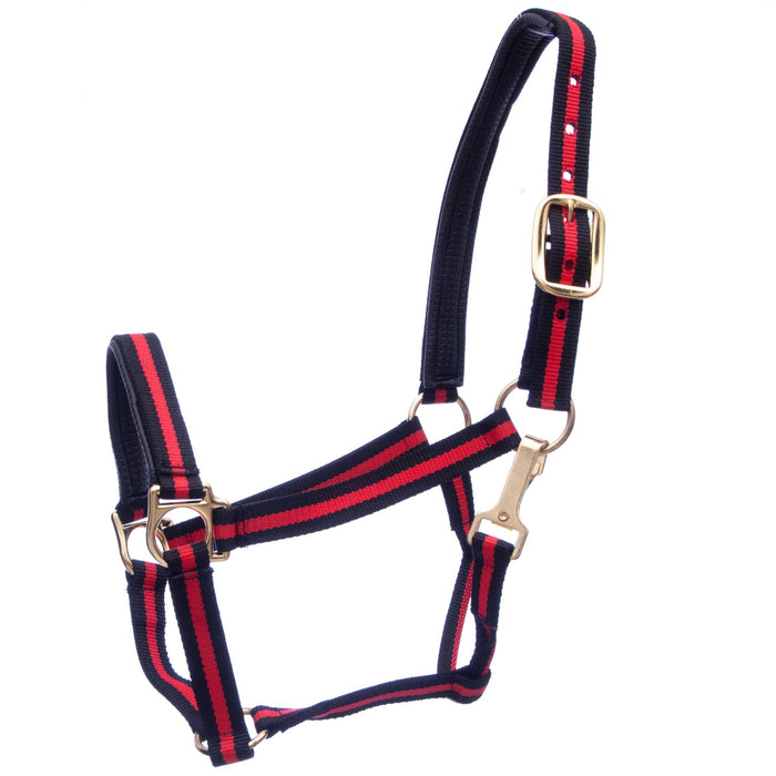 Padded Horse Halter with Snap by Jeffers - Jeffers - Horse Supplies > Horse Tack > Horse Halters