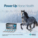 Panacur Powerpac Horse Dewormer - Jeffers - Animal Health & Wellness > Medicine