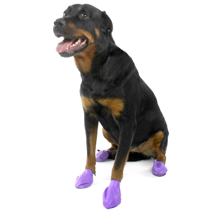 PawZ Dog Boots (12 - pack) - Jeffers - Dog Supplies > Dog Apparel