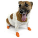 PawZ Dog Boots (12 - pack) - Jeffers - Dog Supplies > Dog Apparel