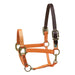 Perri's Nylon Breakaway Halter, Cob Size - Jeffers - Horse Supplies > Horse Tack > Horse Halters