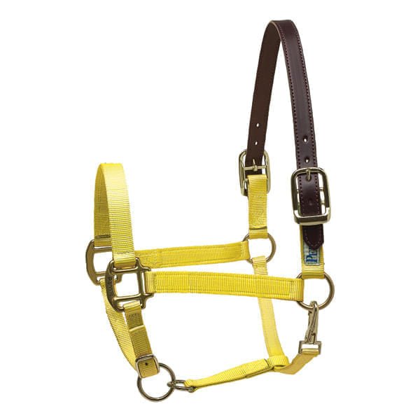 Perri's Nylon Breakaway Halter, Cob Size - Jeffers - Horse Supplies > Horse Tack > Horse Halters