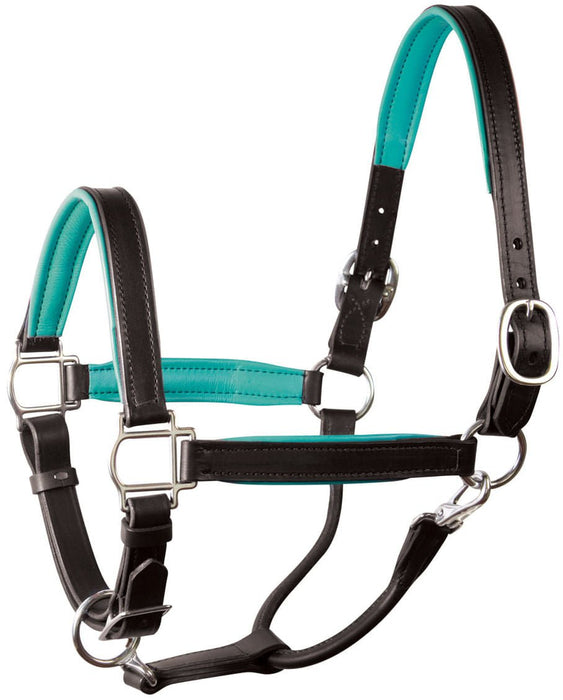 Perri's Soft Padded Leather Halter, Black/Turquoise - Jeffers - Horse Supplies > Horse Tack > Horse Halters