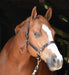 Perri's Twisted Leather Halter - Jeffers - Horse Supplies > Horse Tack > Horse Halters