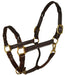 Perri's Twisted Leather Halter - Jeffers - Horse Supplies > Horse Tack > Horse Halters