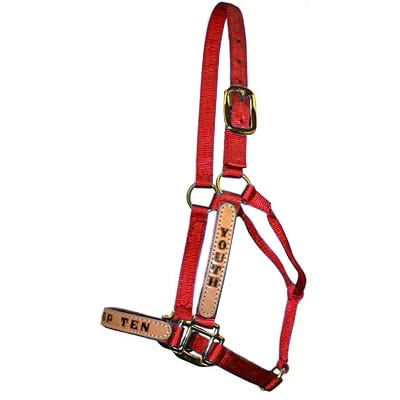 Personalized Nylon Halter, Standard (800 - 1100 lb) by Supreme Western - Jeffers - Horse Supplies > Horse Tack > Horse Halters