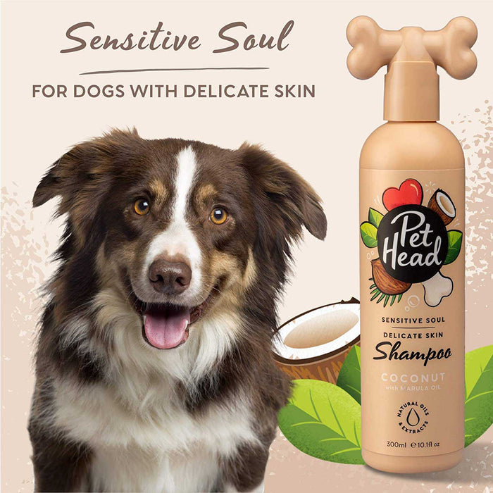 Pet Head Sensitive Soul Shampoo, 16oz - Jeffers - Animal & Pet Supplies > Pet Grooming > Pet Shampoo & Conditioner