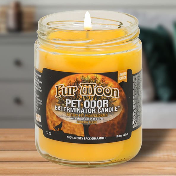 Pet Odor Exterminator Candle, FurMoon, 13 oz - Jeffers - Home Goods & Gifts > Home Decor and Candles for Home Improvement