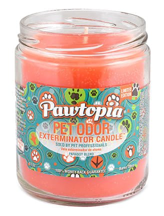 Pet Odor Exterminator Candle, Pawtopia, 13 oz - Jeffers - Animal & Pet Supplies > Pet Odor & Stain Removers