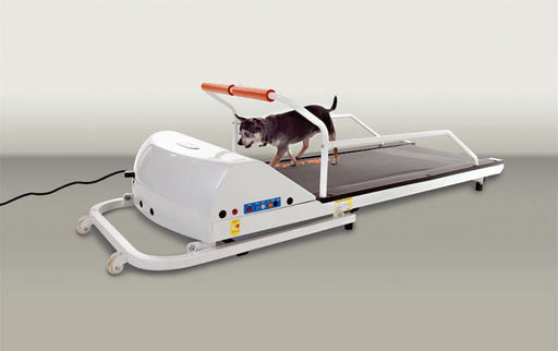 PetRun Small Breed Treadmill (PR710F) - Jeffers - Animal & Pet Supplies > Pet Agility Equipment