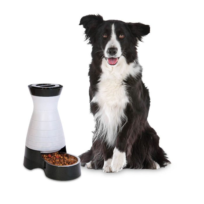 PetSafe Healthy Pet Food Station - Jeffers - Animal & Pet Supplies > Pet Bowls, Feeders & Waterers