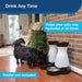 PetSafe Healthy Pet Water Station - Jeffers - Animal & Pet Supplies > Pet Bowls, Feeders & Waterers