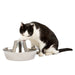 PetSafe Seaside Stainless Pet Fountain - Jeffers - Animal & Pet Supplies > Pet Bowls, Feeders & Waterers