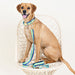 Pink Papyrus Milo Collar, Stripes - Jeffers - Dog Supplies > Dog Apparel > Dog Collars, Harnesses, & Leashes