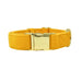 Pink Papyrus Nova Collar, Yellow - Jeffers - Dog Supplies > Dog Apparel > Dog Collars, Harnesses, & Leashes