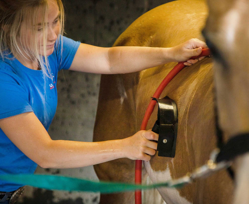 Plastic Sweat/Water Squeegee - Jeffers - Horse Supplies > Horse Grooming