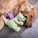 Plush Dragon Dog Toy - Jeffers - Dog Supplies > Dog Toys