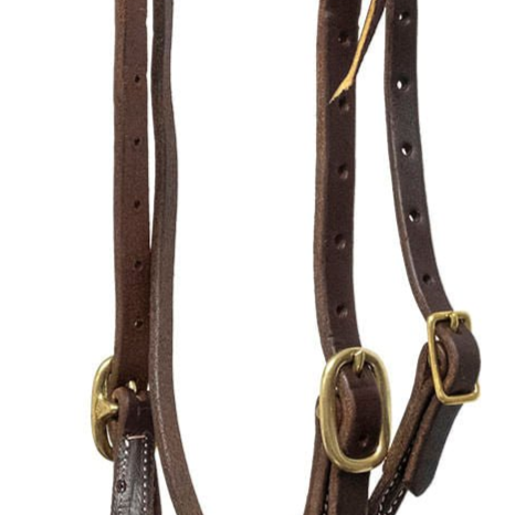 Jeffers Poplar Head Saddlery Oiled Harness Leather Browband Headstall with Easy-Change Buckle Ends