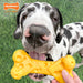 Power Chew Cheese Dog Toy, X - Large/Souper, 50+ lbs - Jeffers - Dog Supplies > Dog Toys