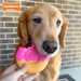 Power Chew Donut Dog Toy, Bacon Glazed - Jeffers - Dog Supplies > Dog Toys