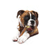 Power Chew Femur Dog Bone Alternative, Beef, Large/Giant, Up to 50 lbs. - Jeffers - Dog Supplies > Dog Toys