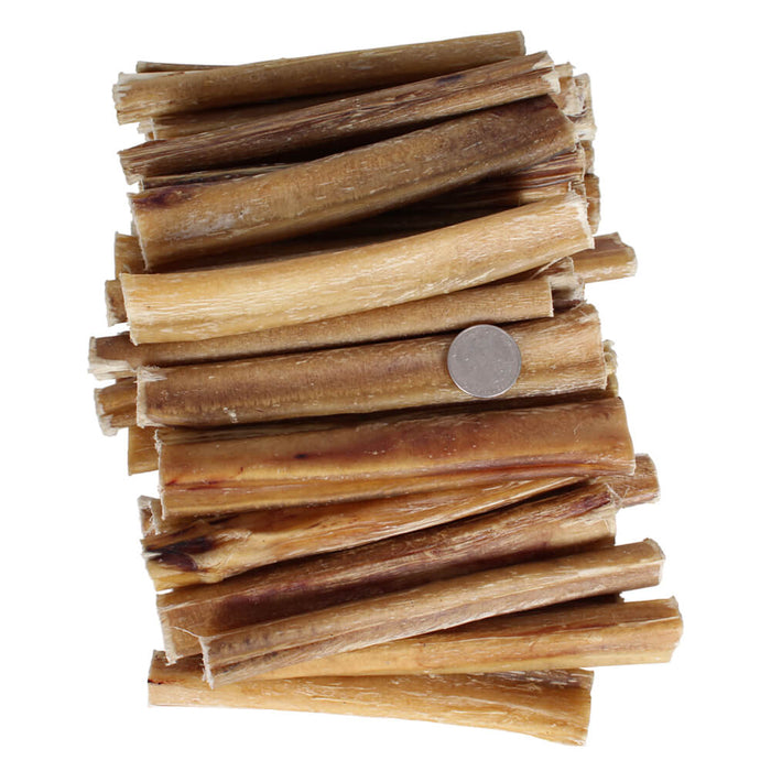 Premium All Natural Dog Pizzle Chews, 6' - Jeffers - Dog Supplies > Dog Treats > Chews