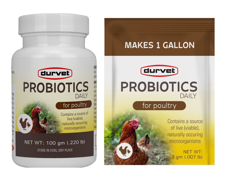 Probiotics Daily for Poultry, 100 gm - Jeffers - Animal Health & Wellness > Vitamins & Supplements